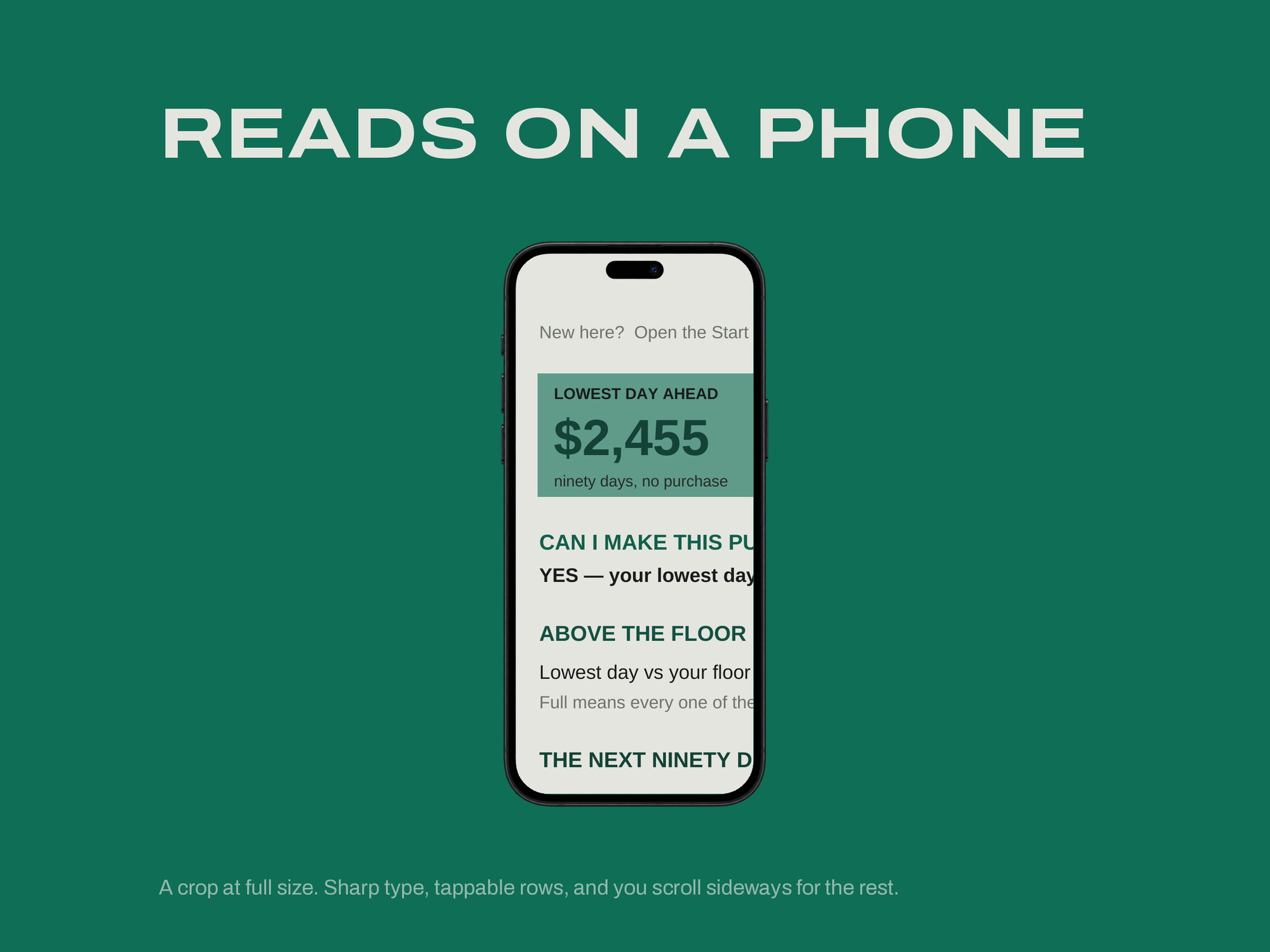 Cash-Flow Forecaster — READS ON A PHONE
