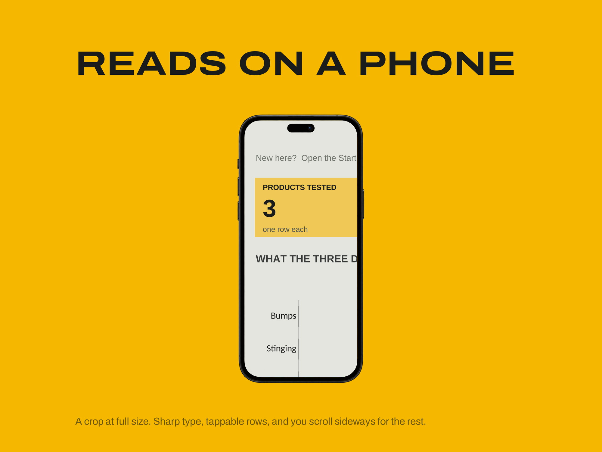 Patch-Test & New Product Log — READS ON A PHONE