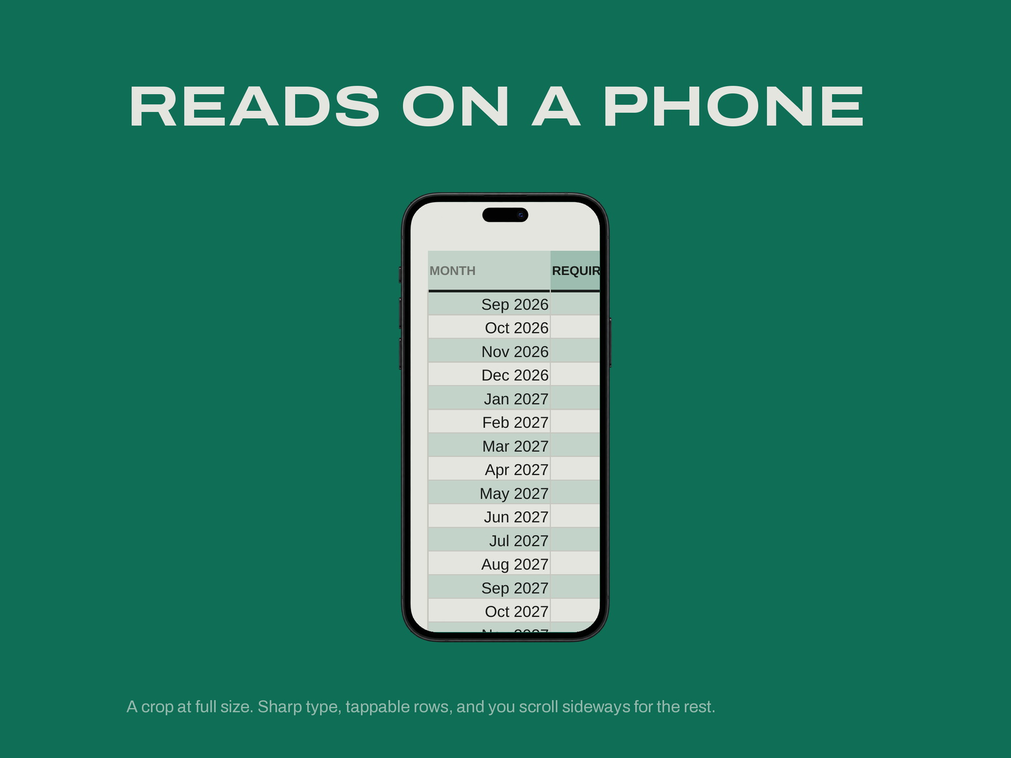 Sinking Funds Tracker — READS ON A PHONE