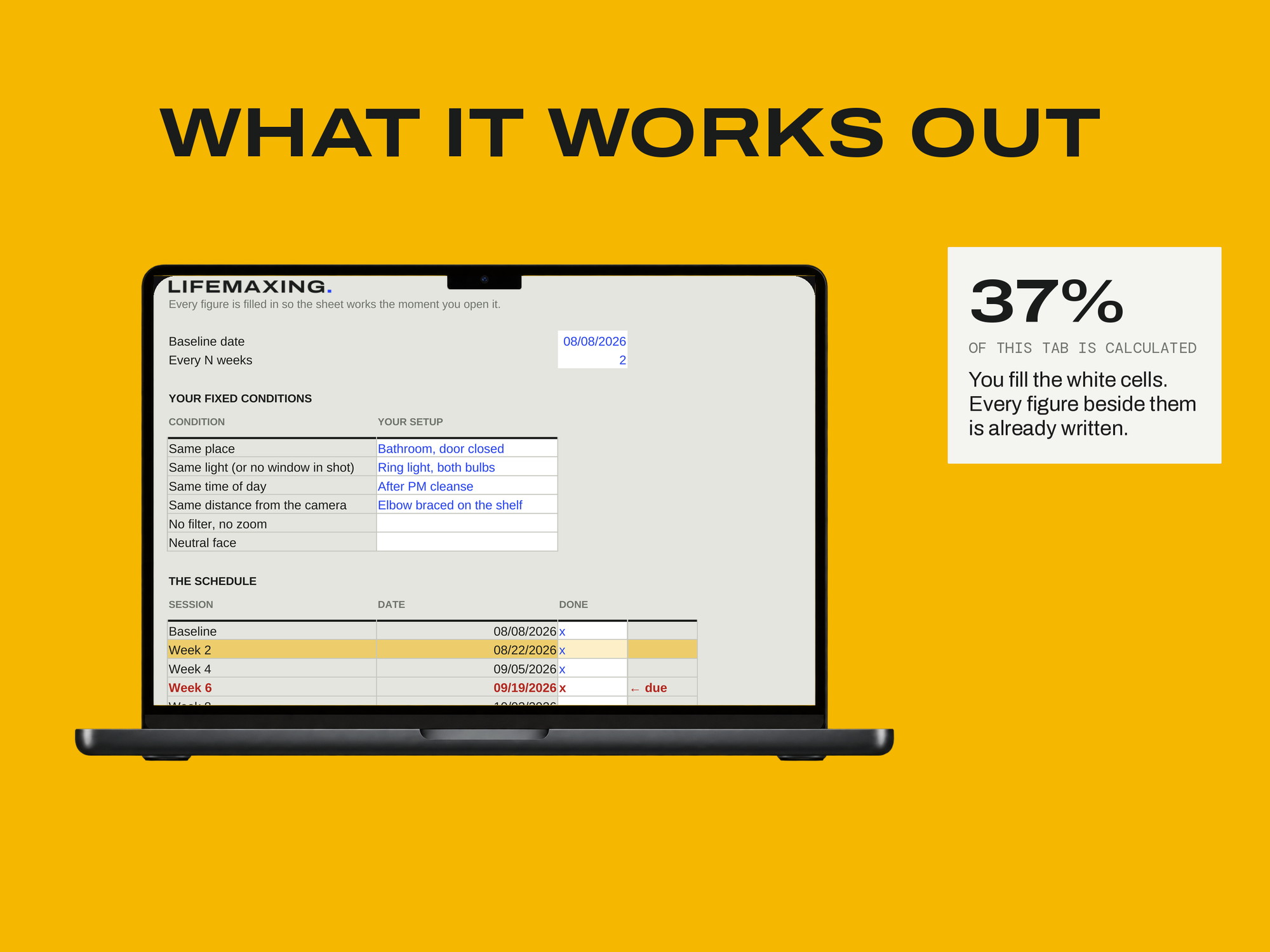 Photo Progress Protocol — WHAT IT WORKS OUT