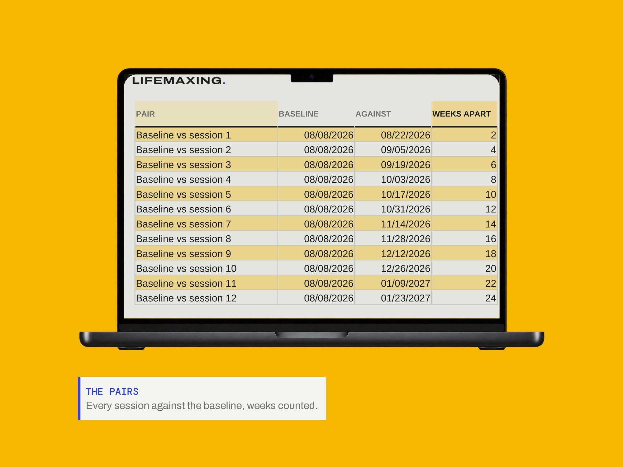 Photo Progress Protocol — THE PAIRS