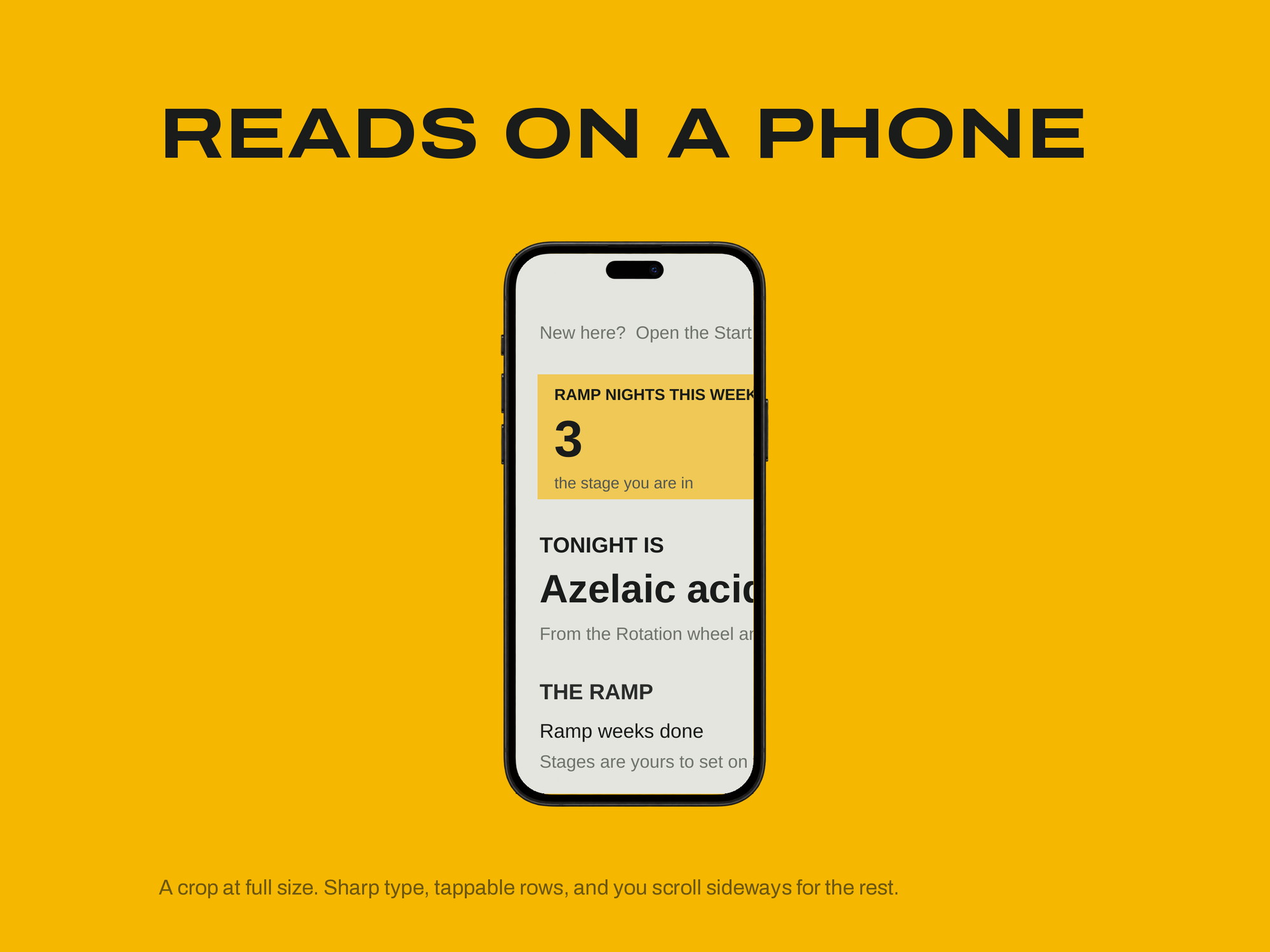 Skincare Routine Builder — READS ON A PHONE