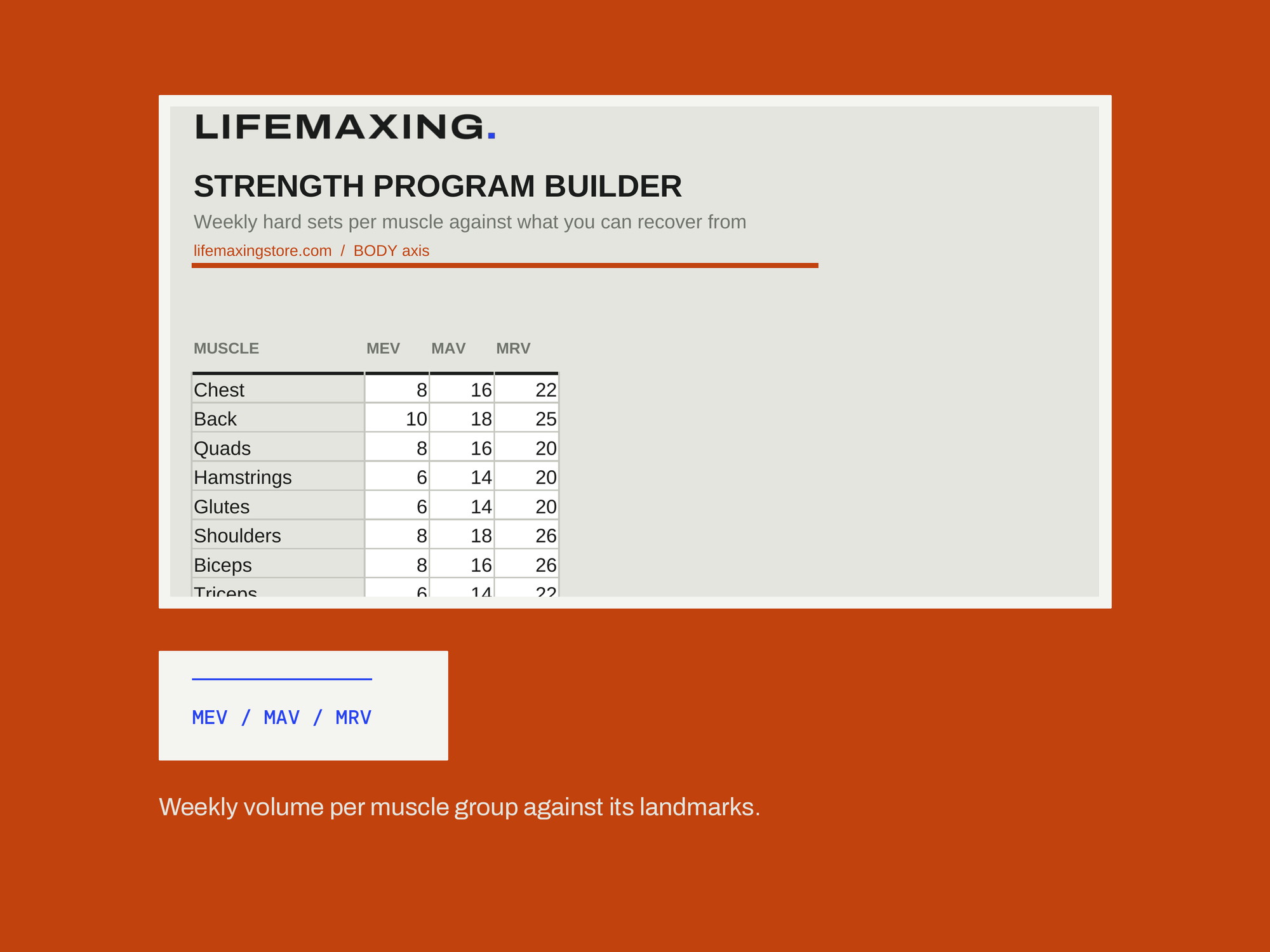 Strength Program Builder — MEV / MAV / MRV