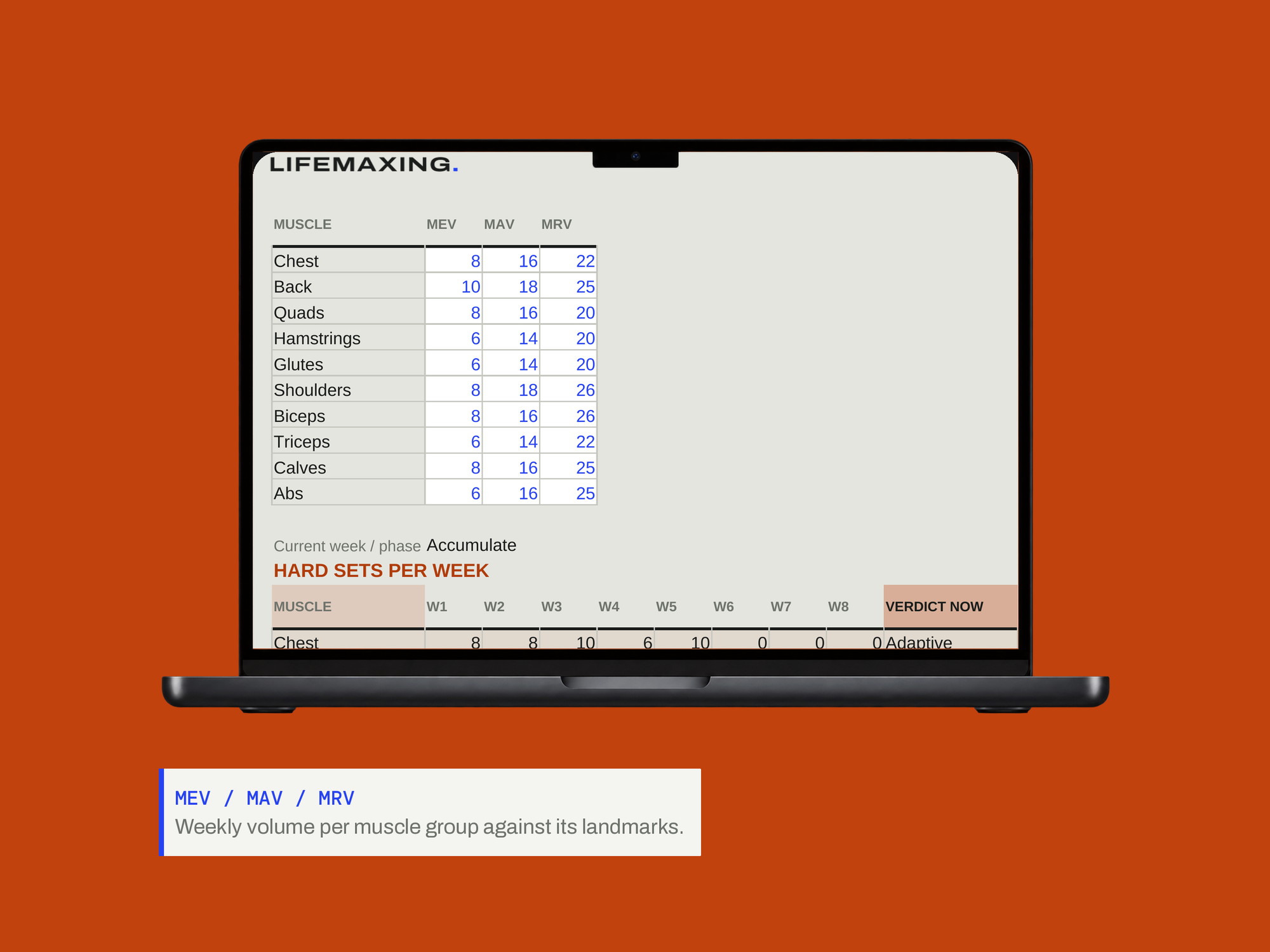 Strength Program Builder — MEV / MAV / MRV