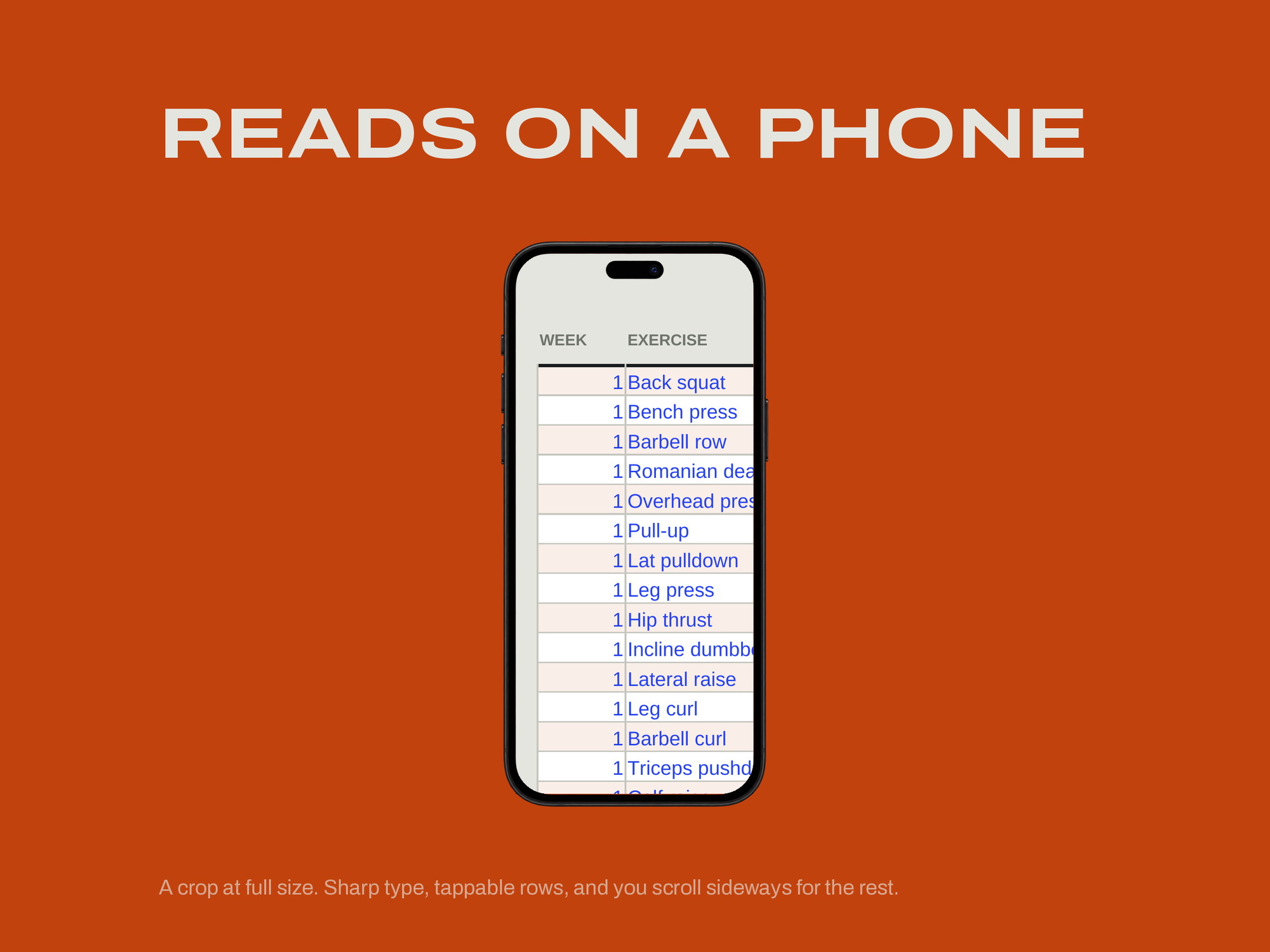 Strength Program Builder — READS ON A PHONE